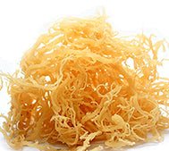 Sea Moss