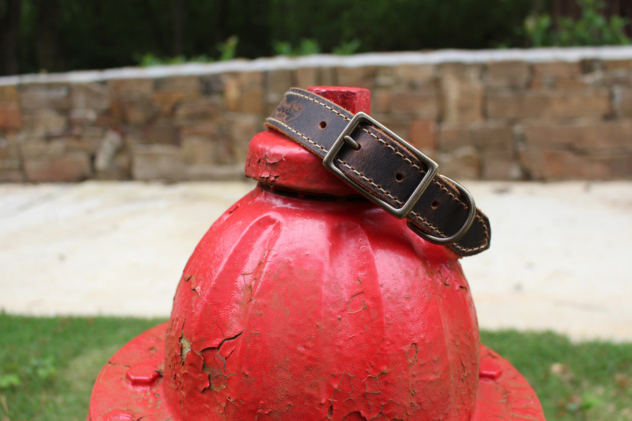 True Blue Buffalo Belt - GROWLEY LEATHER CO.