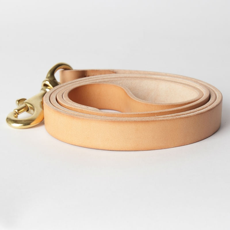 leather dog leash