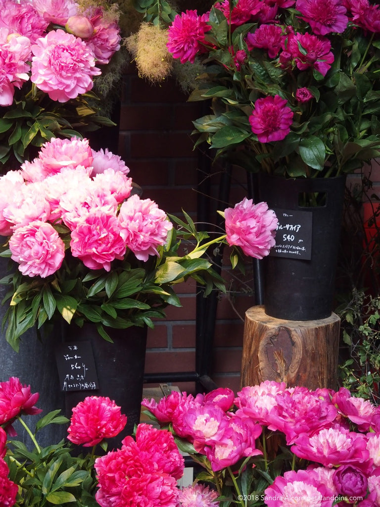 peonies at aoyama flower market, tokyo, japan