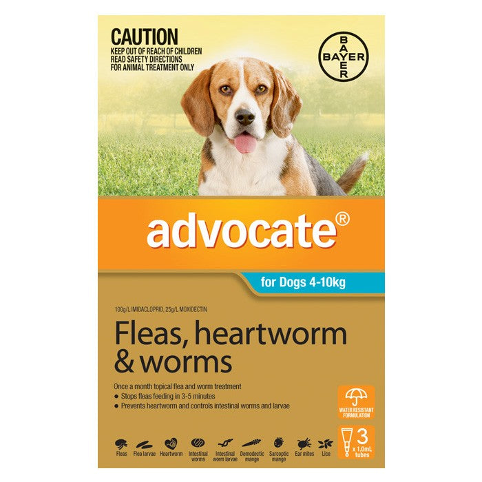 advocate flea treatment for dogs
