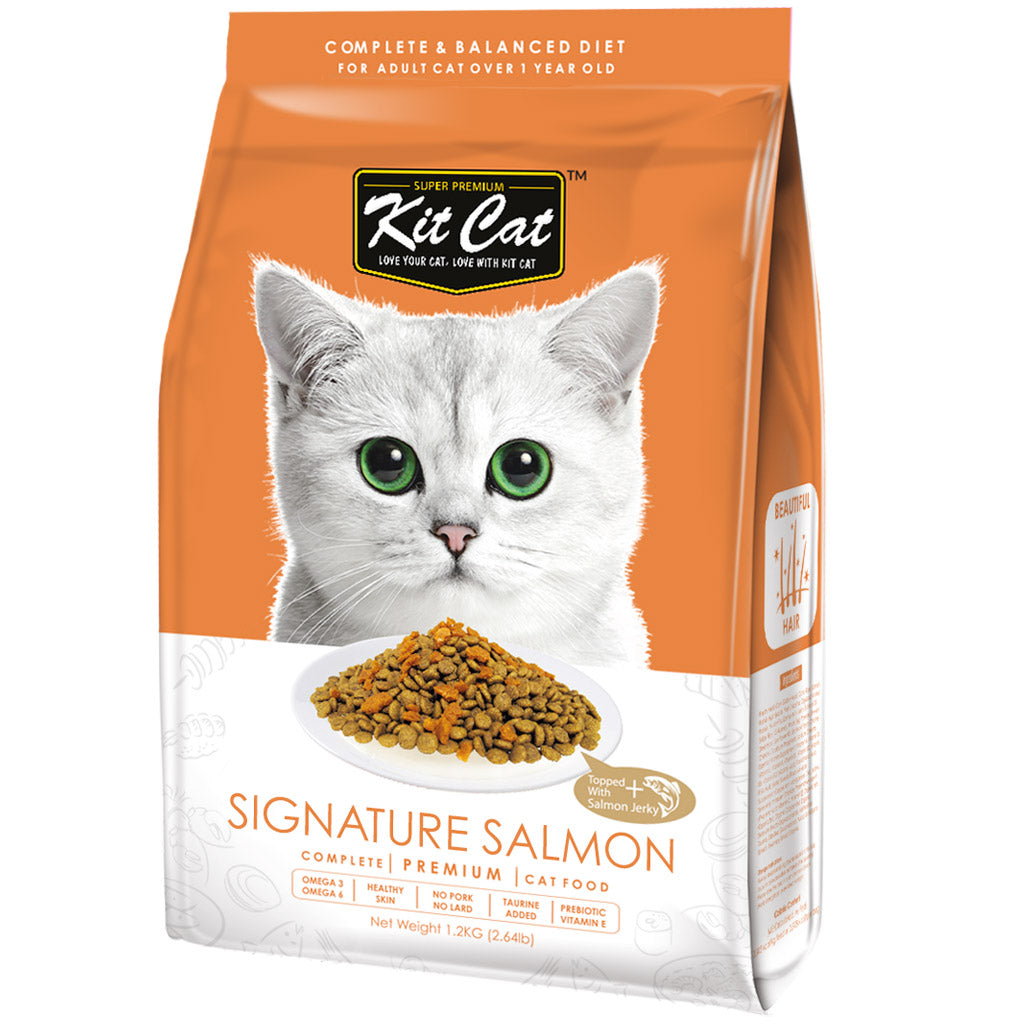 salmon dry cat food