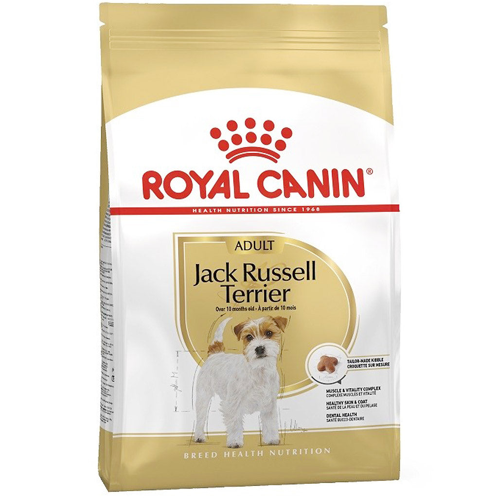 royal canin jack russell terrier