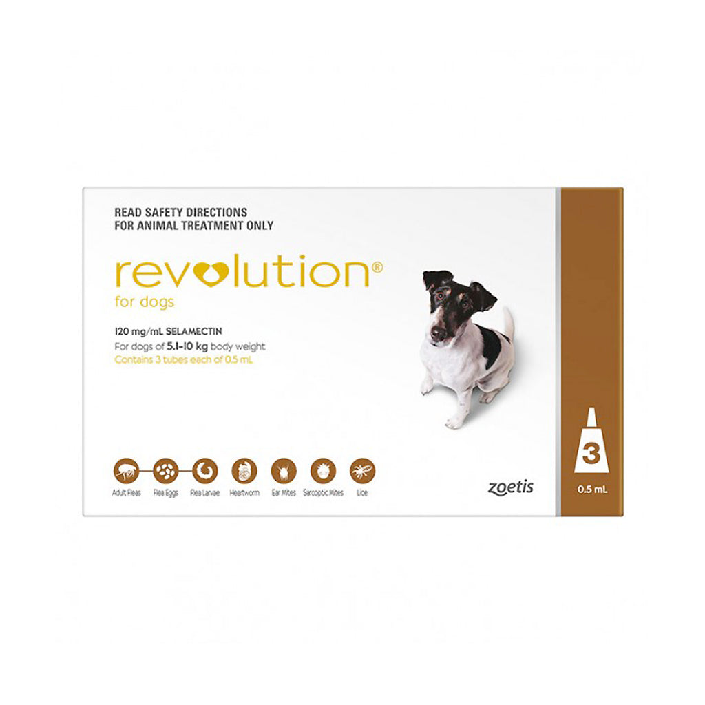 revolution for dogs