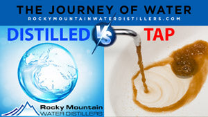 Distilled Water vs Tap Water