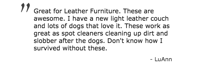 How to Clean Leather Couch and Furniture  Fast & Easy with One Wipe – Tub  O' Towels