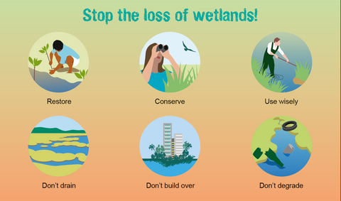 Wetland Conservation