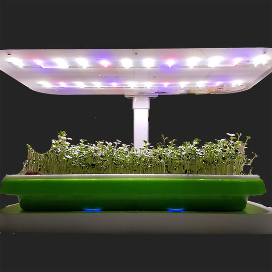 LED System and Control Base Perfect for Microgreens and Hou – HydroPro Sales