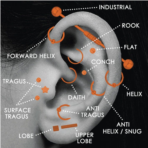 Body Piercing Charts | Ears, Jewelry Sizes, Gauge Info – BodyJ4you