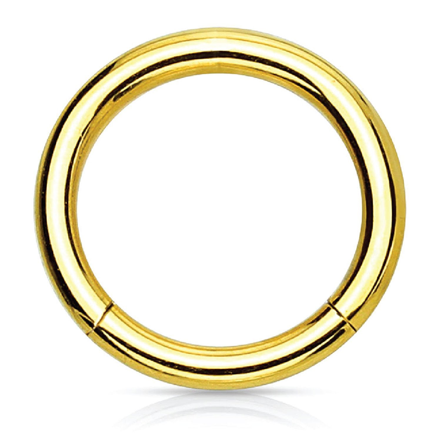 Piercing Ring Hinged Clicker Segment Hoop 4g 20g Goldtone Steel Nose