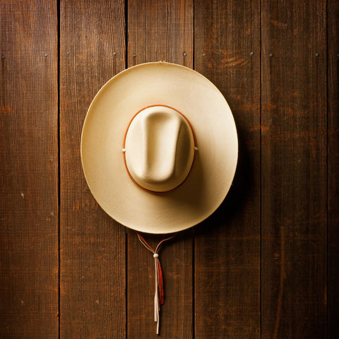 hat hanging on a wooden wall