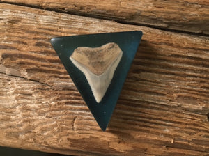 Custom shark tooth necklace