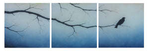Cherry Blossoms Triptych