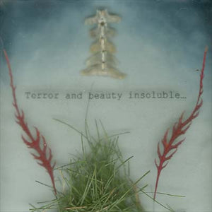 Terror and Beauty Insoluble