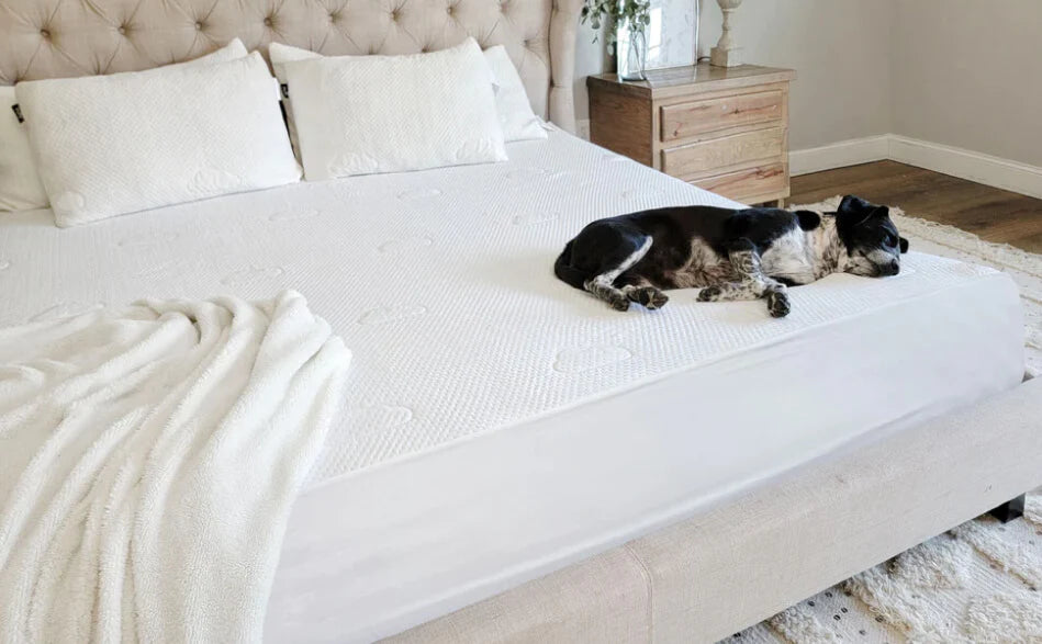 Top 10 Bed Accessories You Need In Your Bedroom