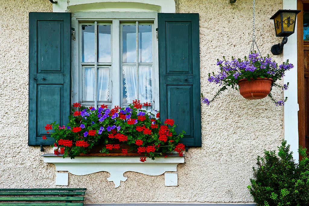 Plant a window box | Puffy