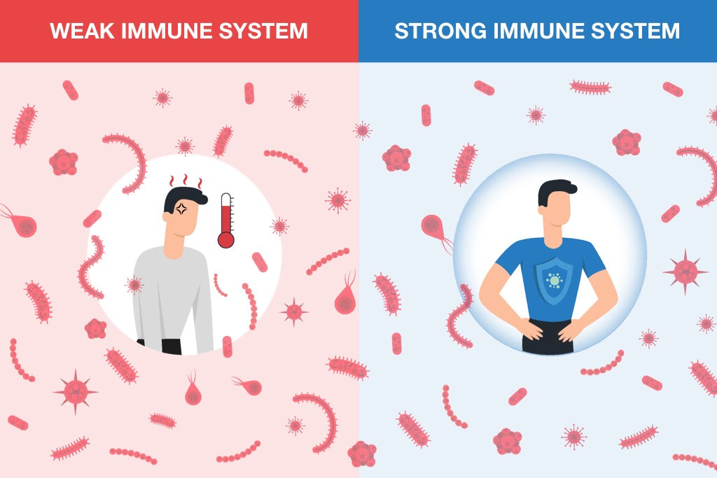 Sleep And Immune System: Understanding Their Impactful Connection | Puffy