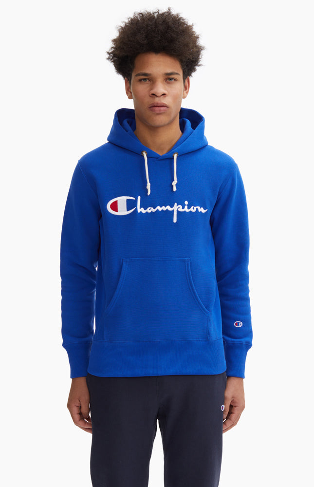 champion reverse weave surf the web blue hoodie