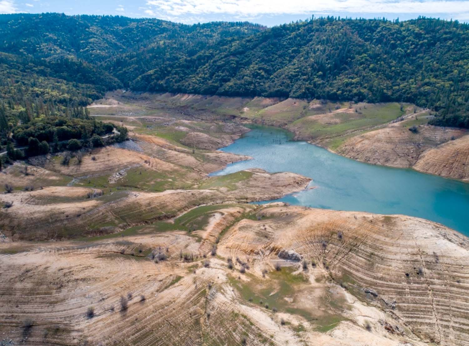 Perspective on the California Drought & Landscape Water Use