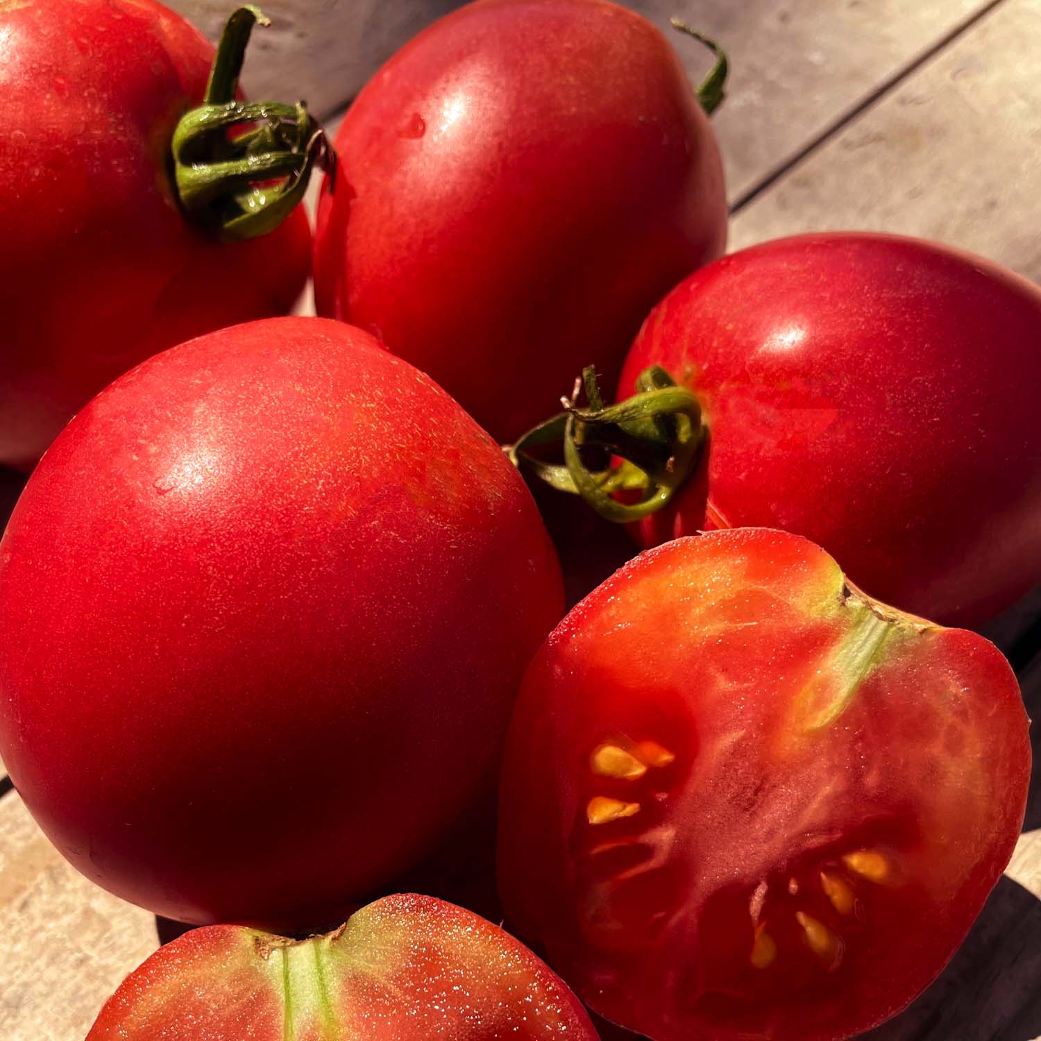 Tomatomania Chooses Its Tomato of the Year - Dwarf_Melanie_Ballet