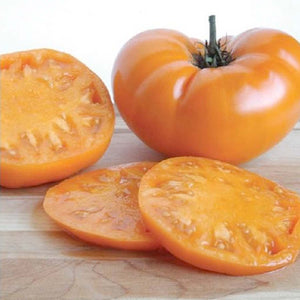 Buy Hybrid Tomatoes