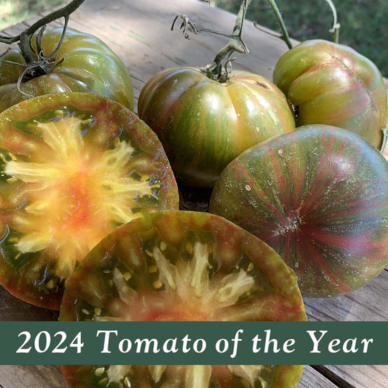 Tomatomania Chooses Its Tomato of the Year - Harvard Square