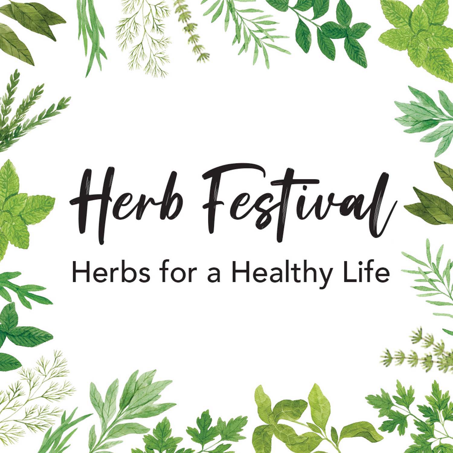 HERB FESTIVAL