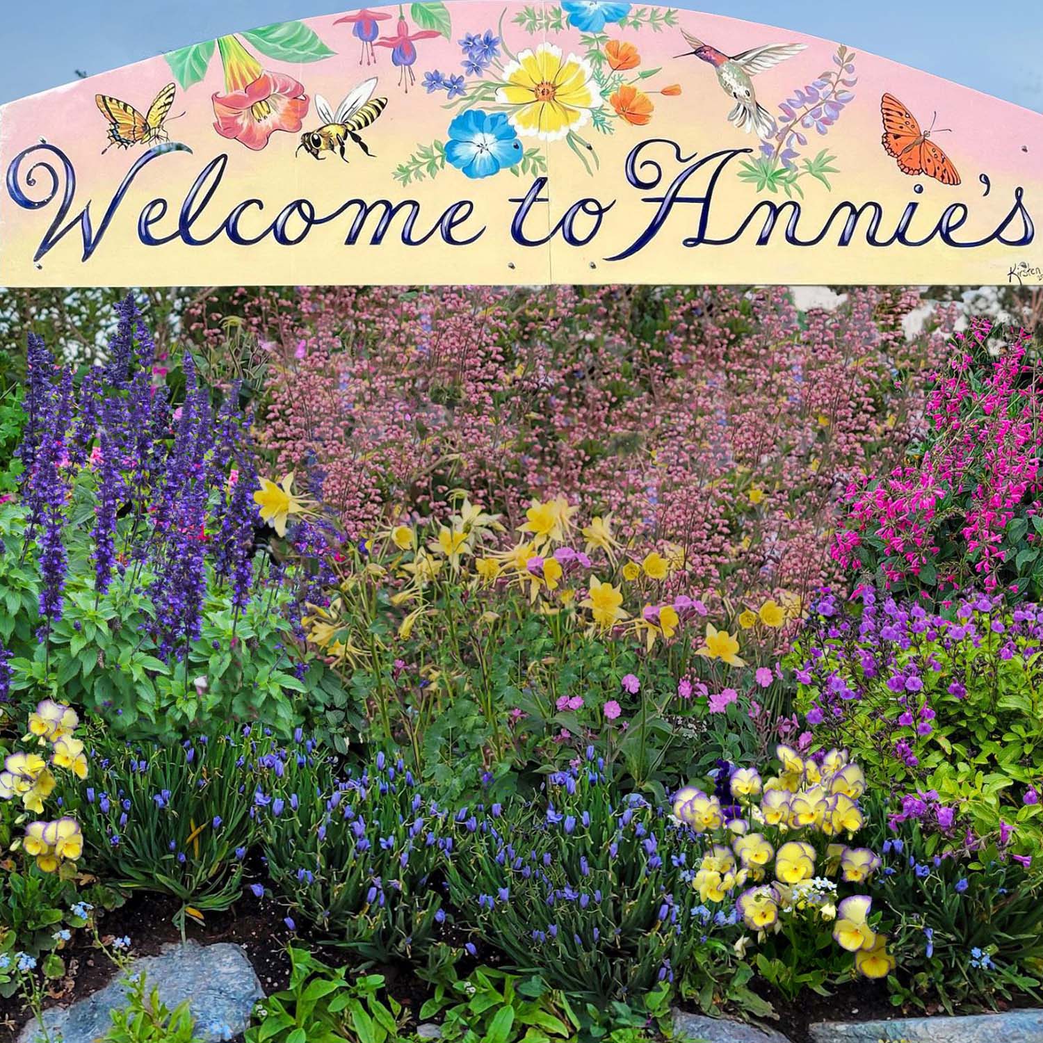 Plant Annie’s Annuals and Perennials: Your Garden Will Never Be the Same