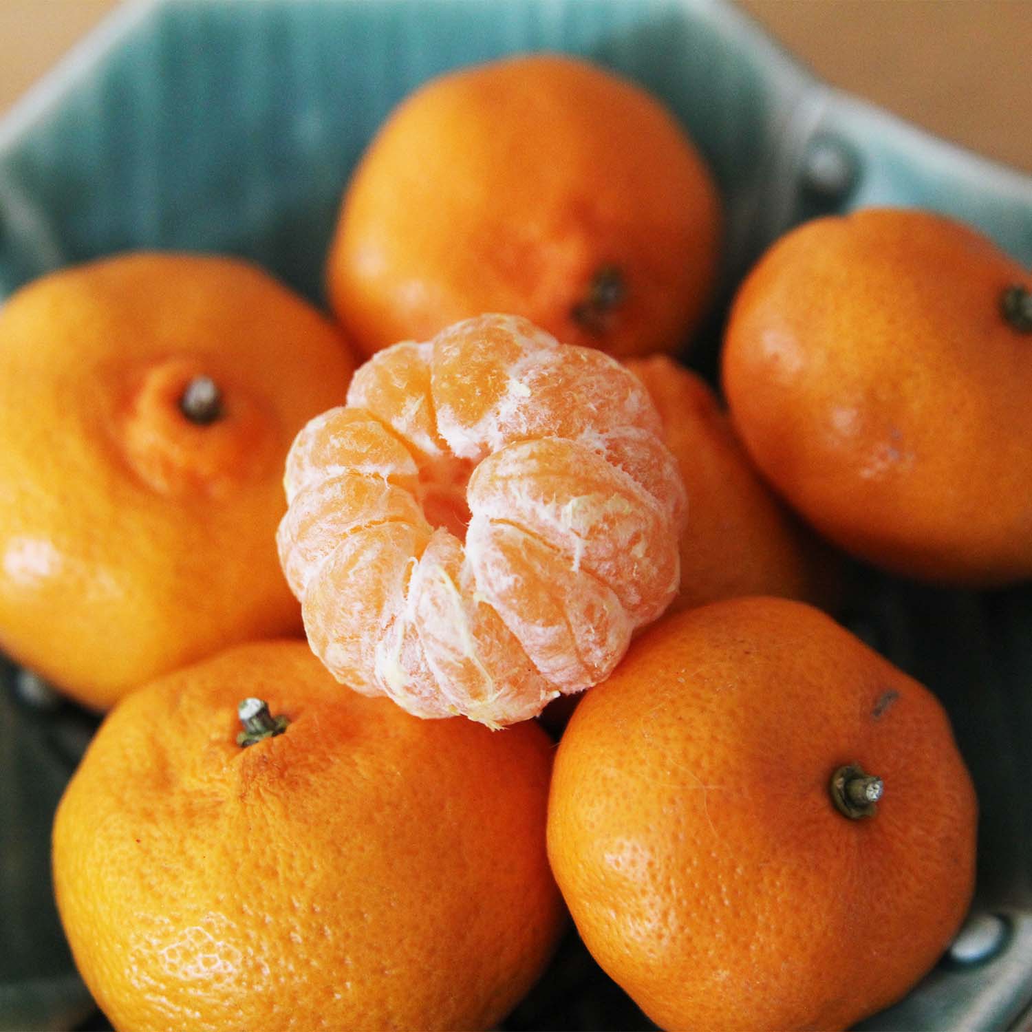 The Flavor Bomb Citrus You Have to Grow – Kishu Mandarin