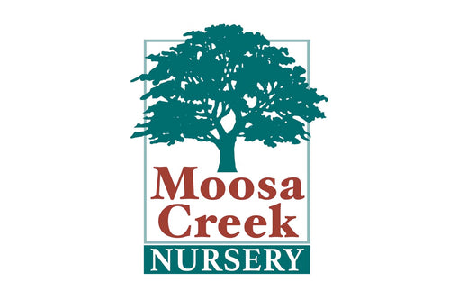 Moosa Creek Nursery