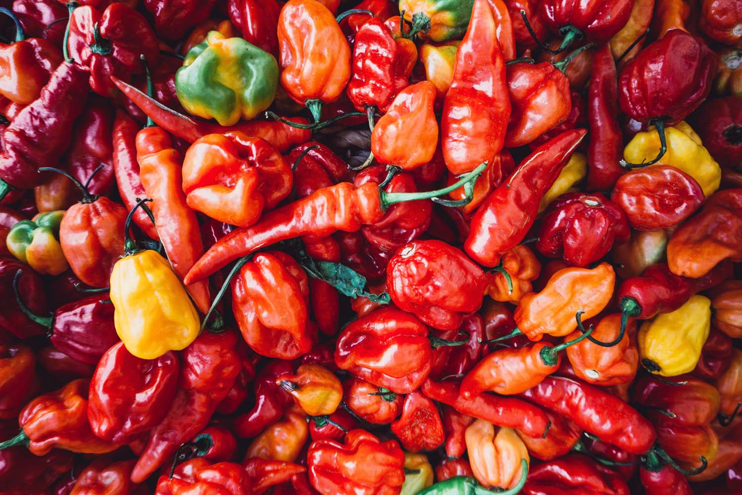 Chili Pepper Scoville Scale