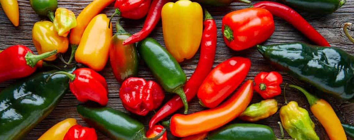 From Mild to Wild: 10 Essential Tools for a Great Pepper Season 