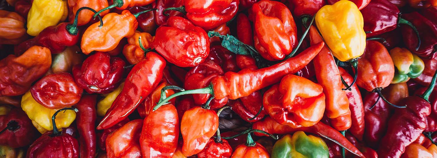 What Are The Best Peppers to Grow in Southern California?