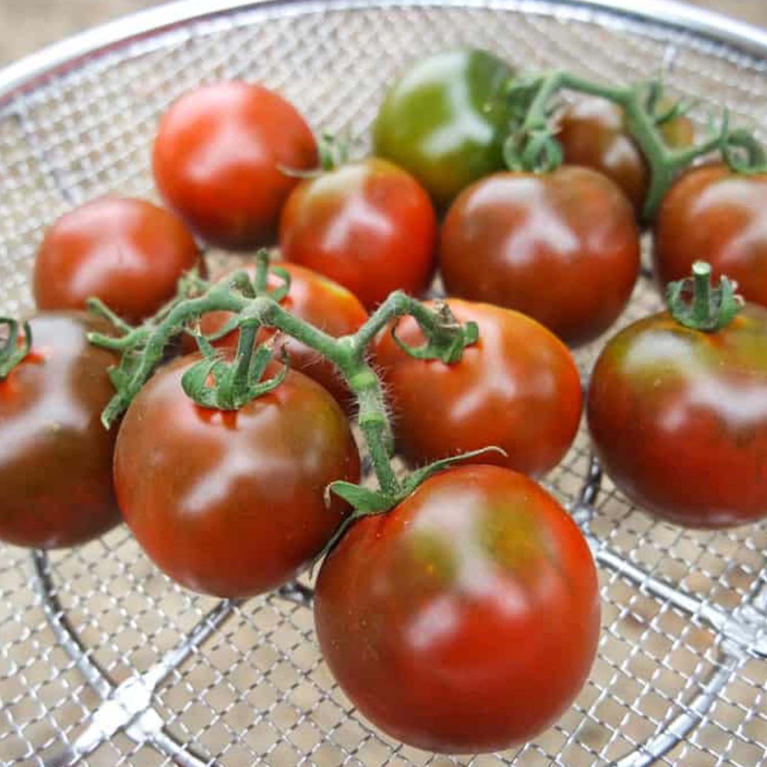 The Striking Beauty of Pigletwillie's French Black Tomato