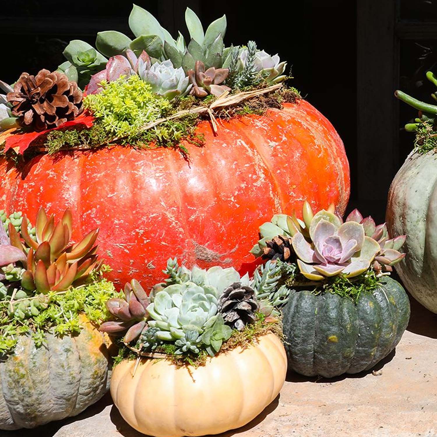 Front Porch Fall Inspiration