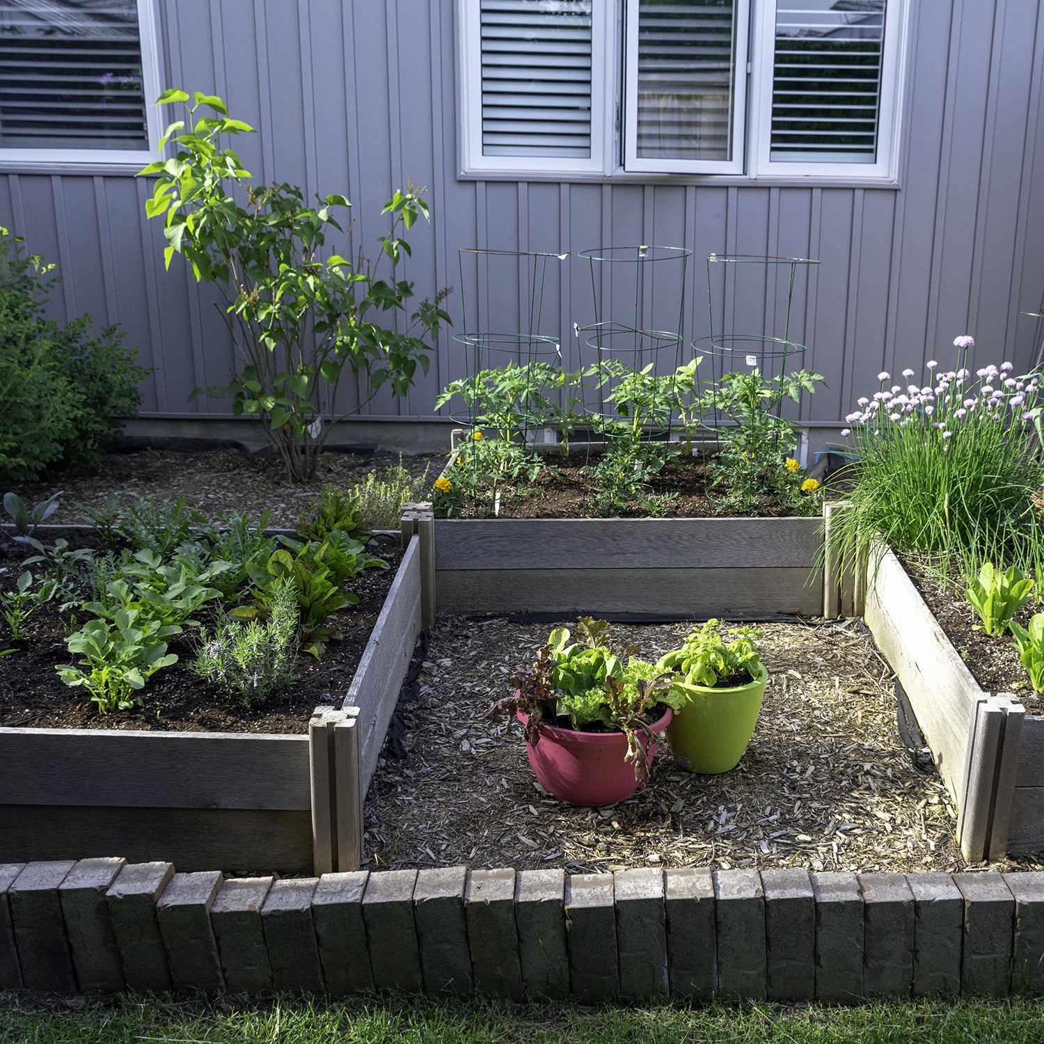 How to Grow Vegetables in Any Outdoor Space – Roger's Gardens