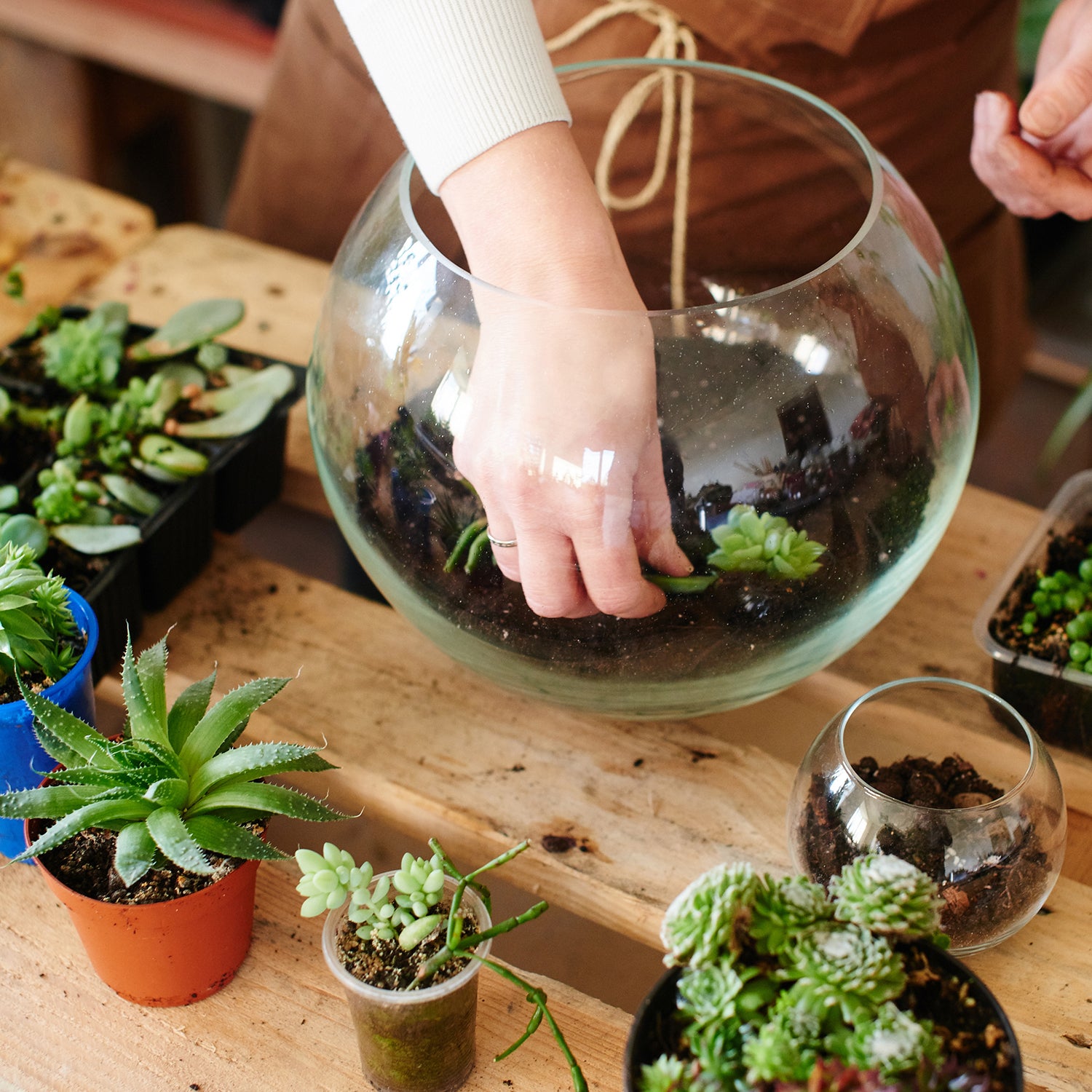 How to Make Homemade Fairy Gardens