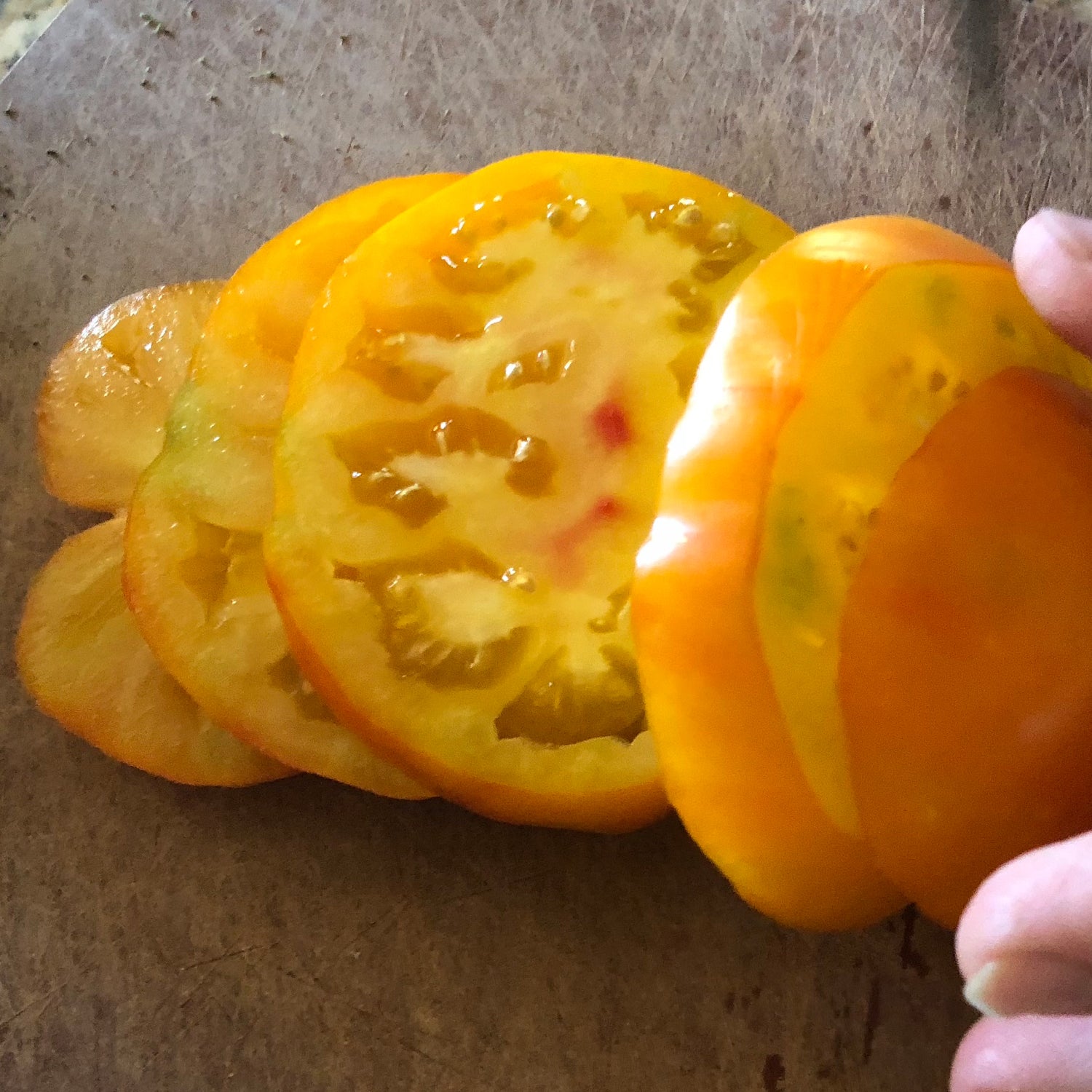 The Quest for the Perfect Tomato