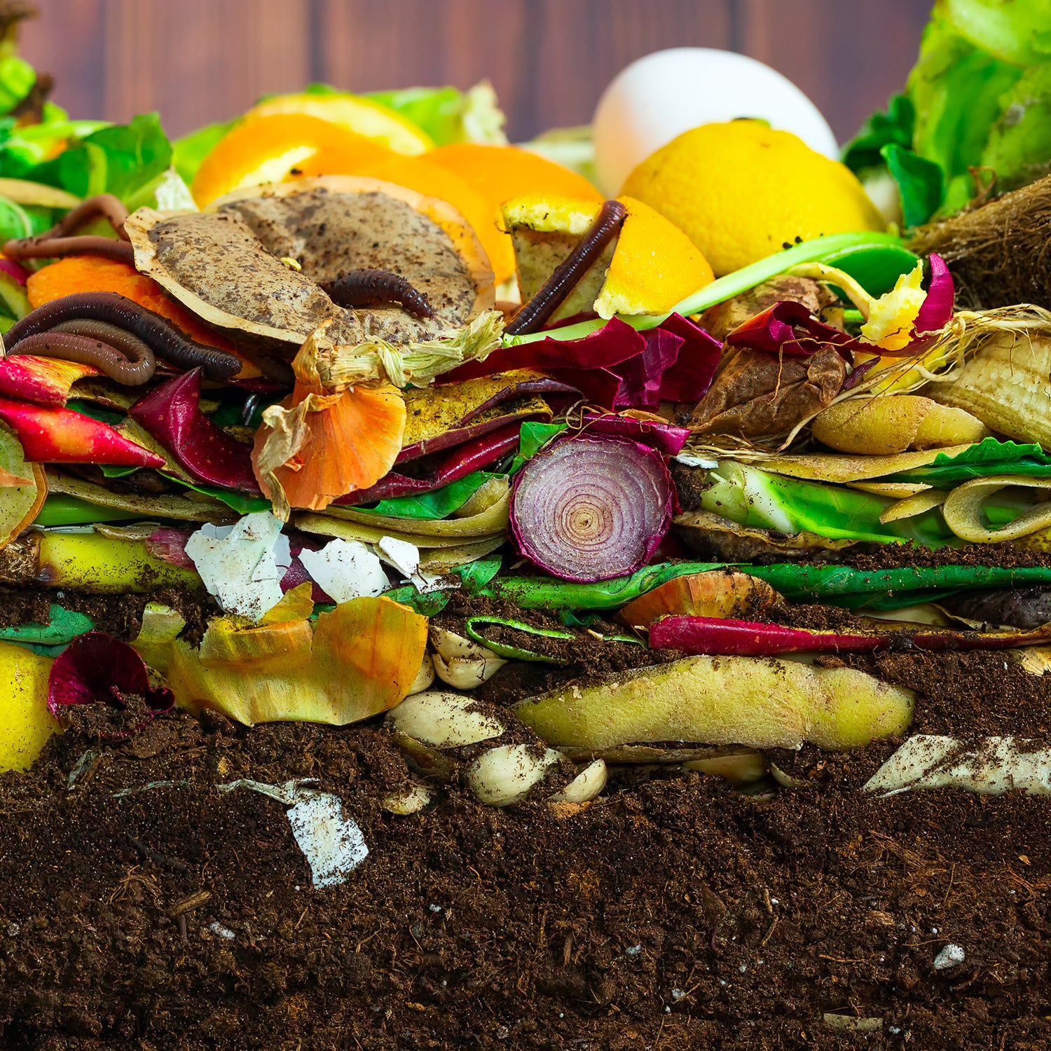 Everything You Need to Know About Worm Composting