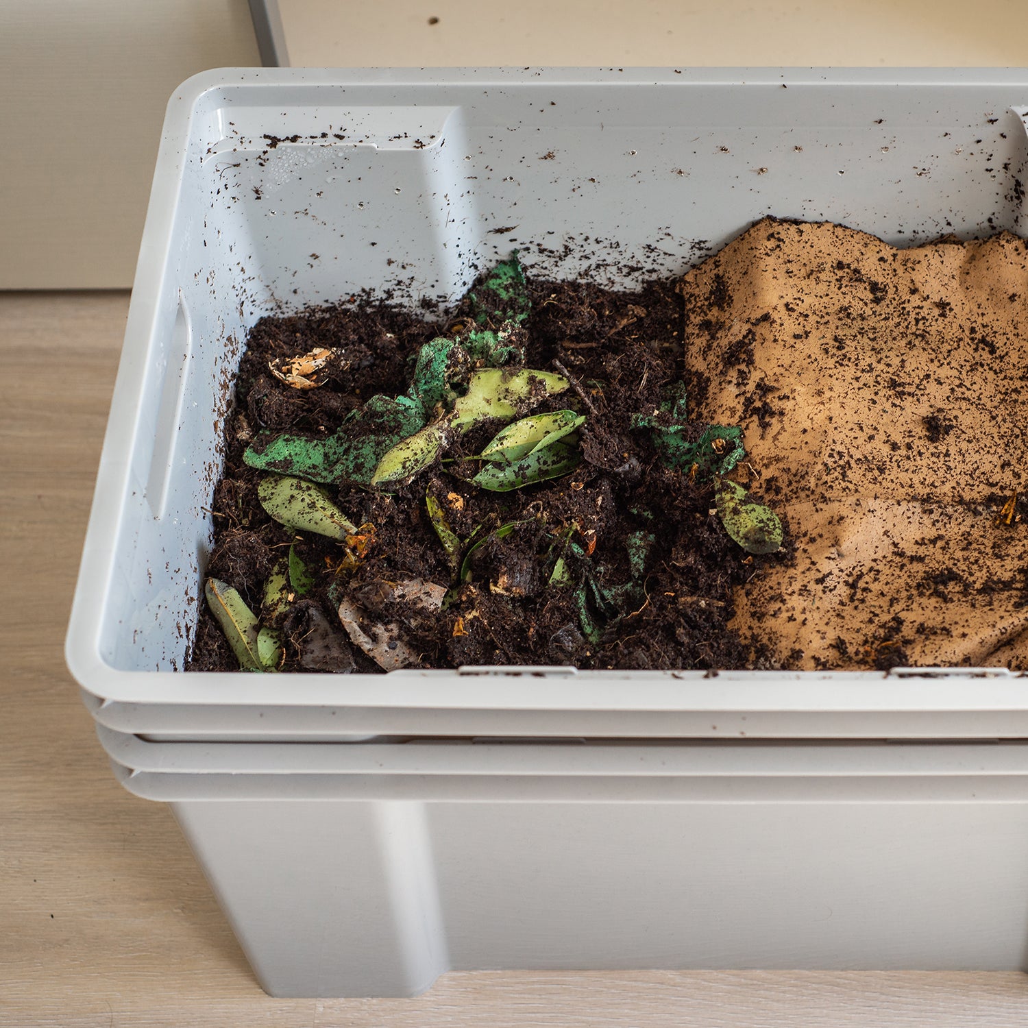 Everything You Need to Know About Worm Composting