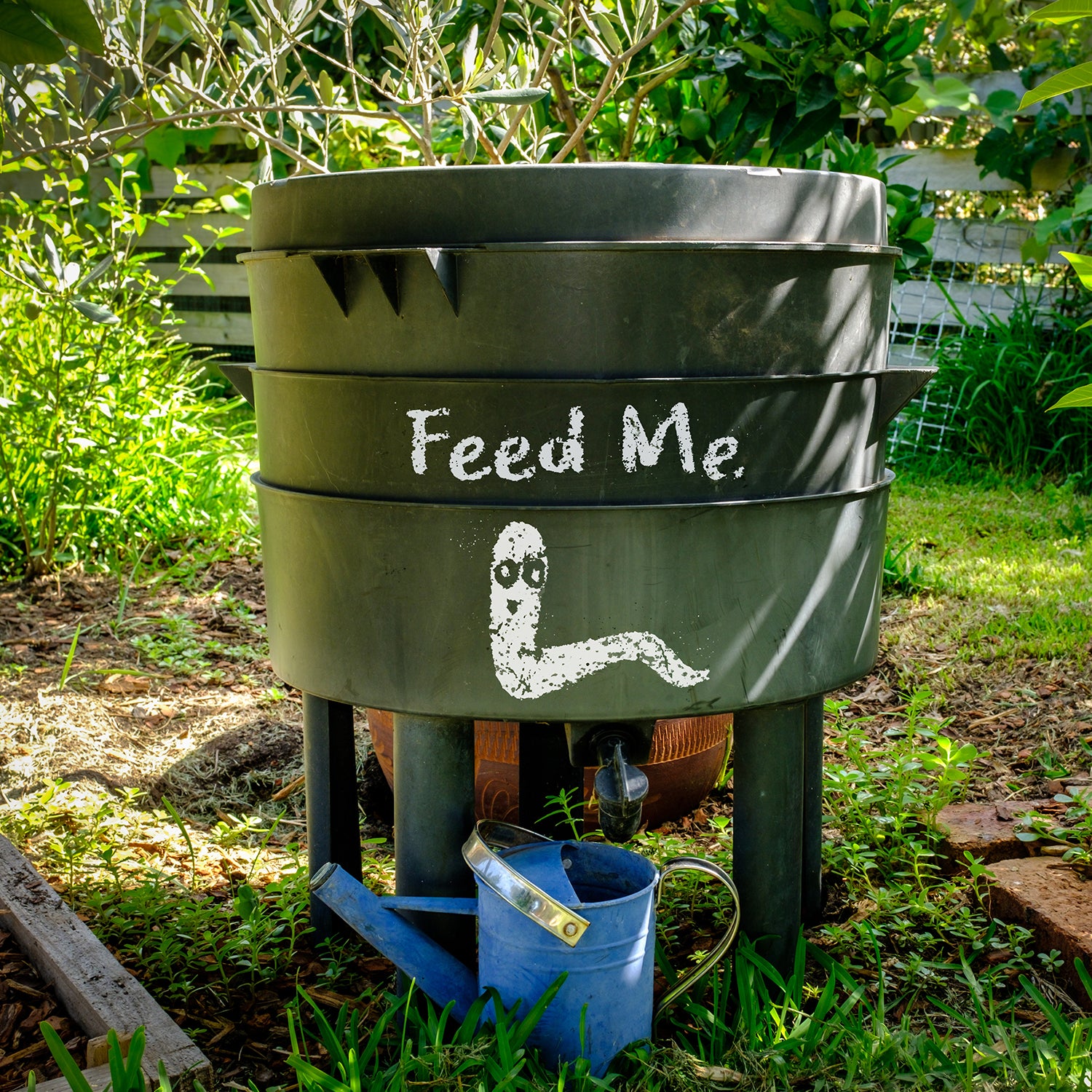 Everything You Need to Know About Worm Composting