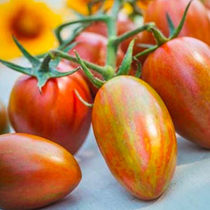 Buy Roma Tomatoes