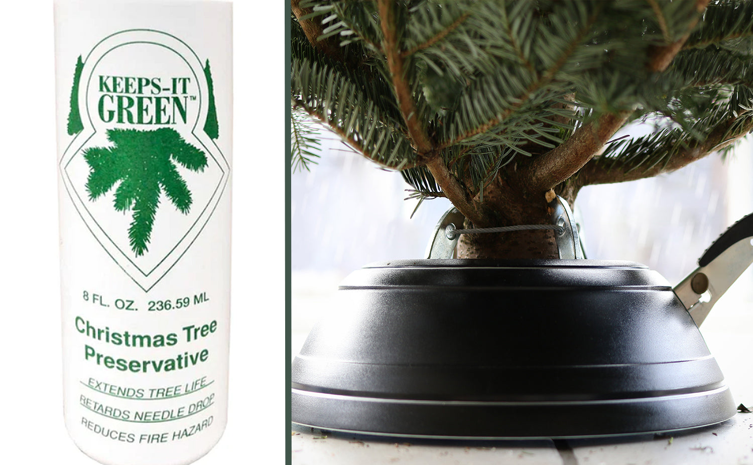 Caring for Your Fresh Cut Christmas Tree