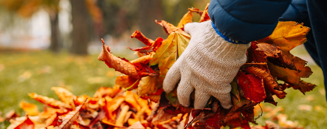 Cool-Season Garden Prep