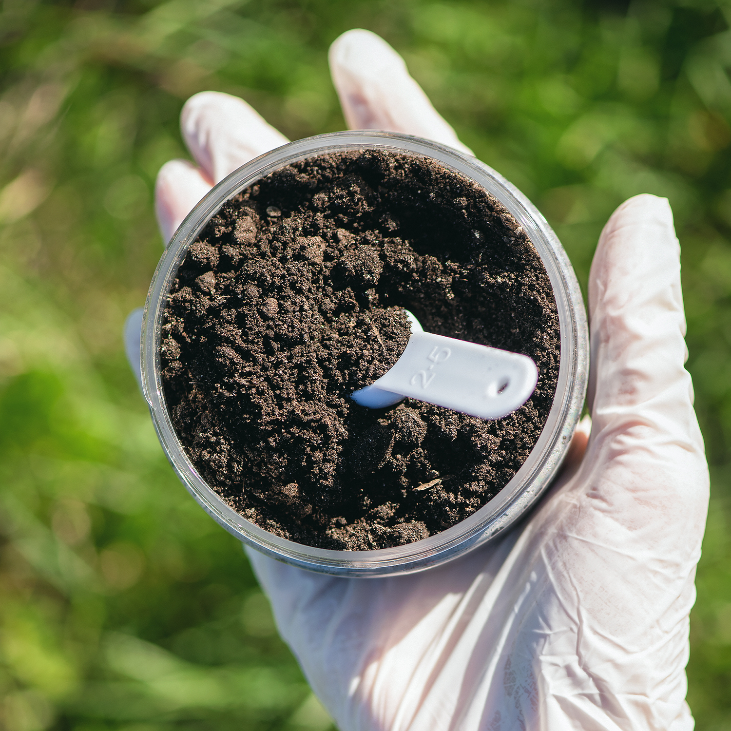 Cool-Season Garden Prep