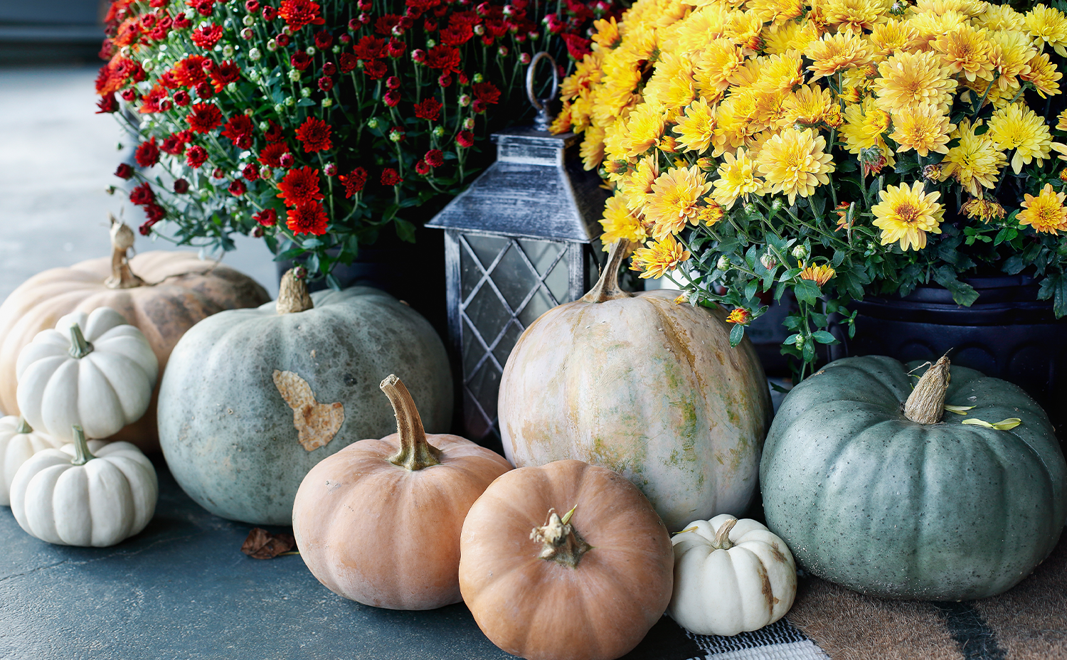 7 Clever Ways to Use Pumpkins in Fall Decor