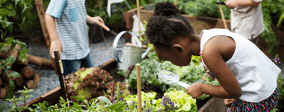  7 Activities for Engaging Kids with Pollinator Gardens