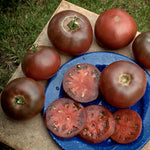 Buy Stabilized Cross Tomatoes