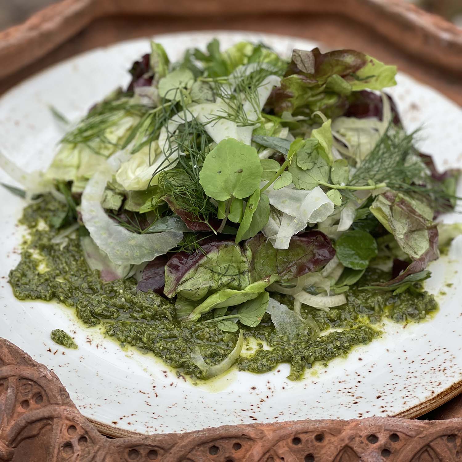 Herb & Butter Boston Lettuce Salad with Shaved Fennel, Lemon Shallot Vinaigrette