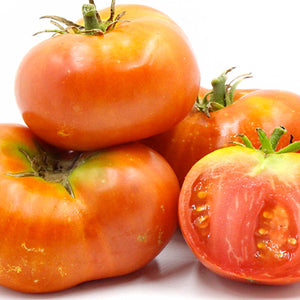 Buy Slicer Tomatoes